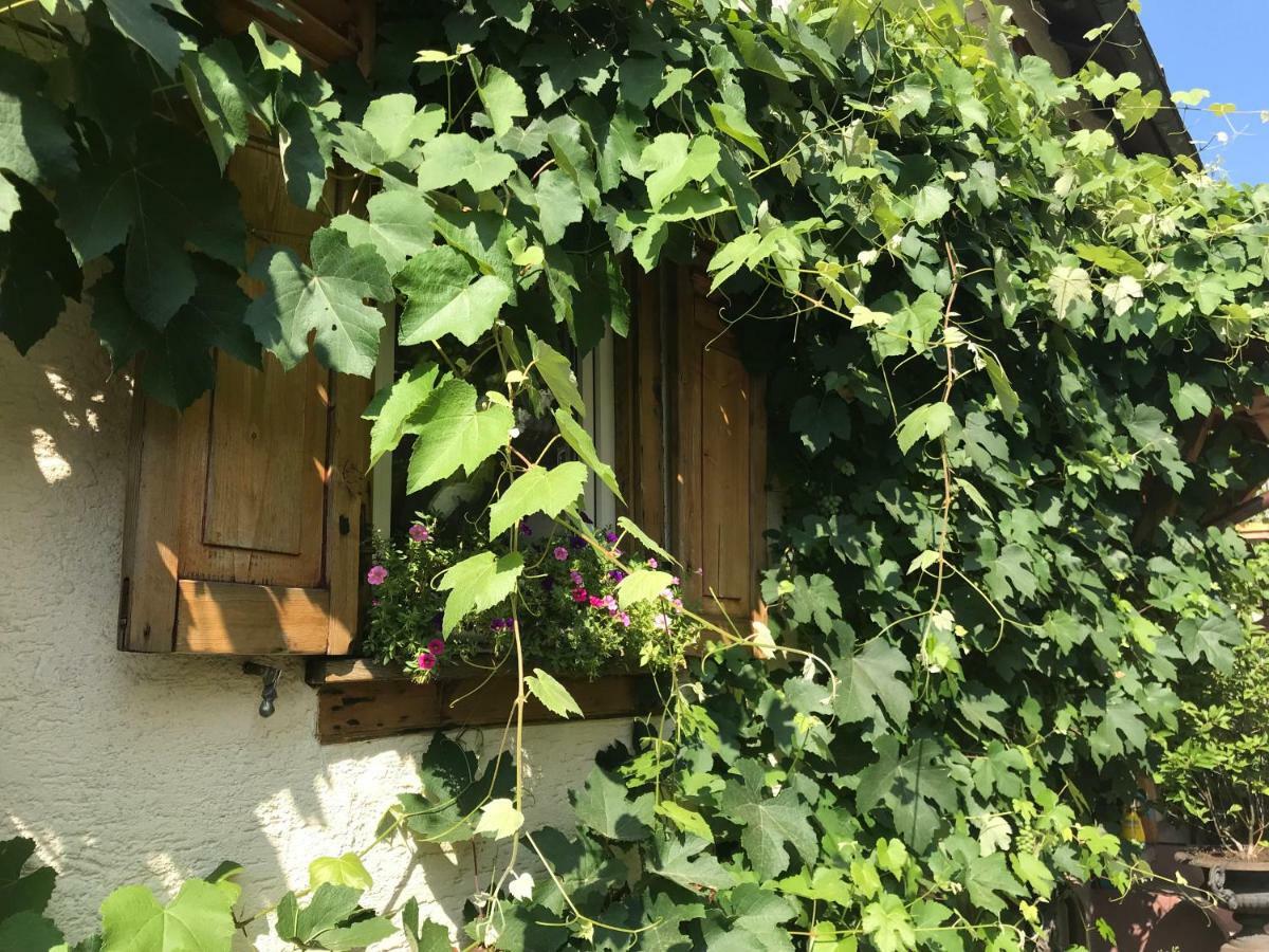 Tante Berg B&B Bad Vilbel Luaran gambar